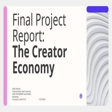 Final Project Report - The Creator Economy