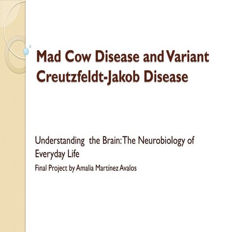 Finalprojectmadcow v cjd amaliamartinez