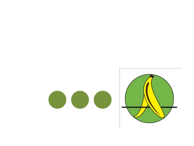 Final project presentation