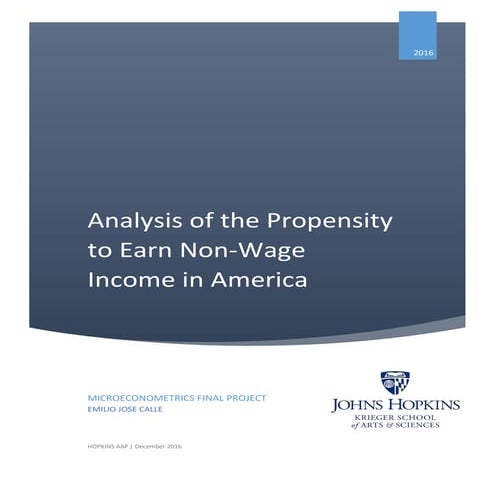 Analysis of the Propensity to Earn Non-Wage Income in America