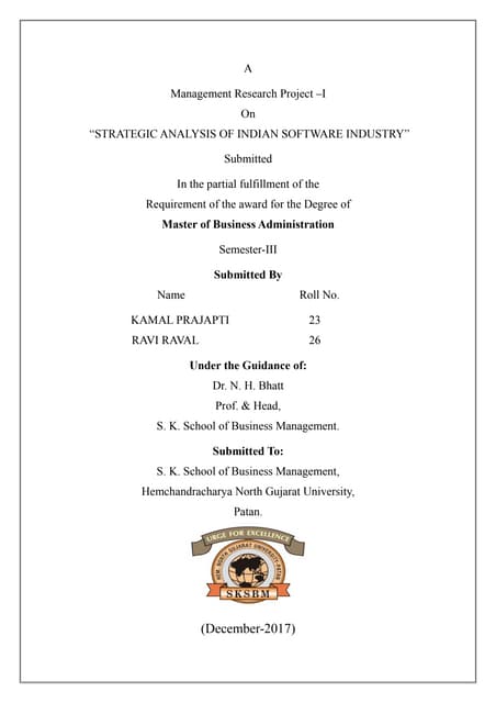 Software Industry Project Pdf