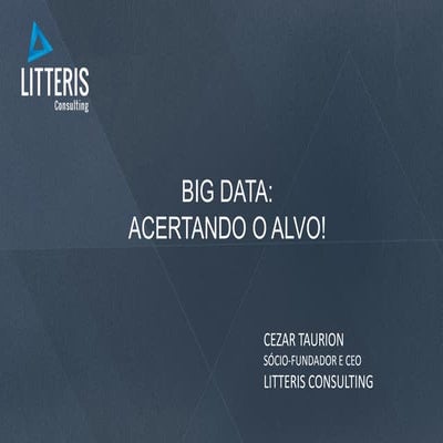 IT Leaders 2015: Big Data - acertando o alvo!
