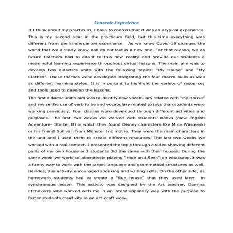 Final reflection primary