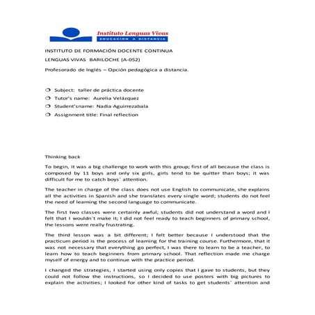 Final reflection primary practicum-aguirrezabala