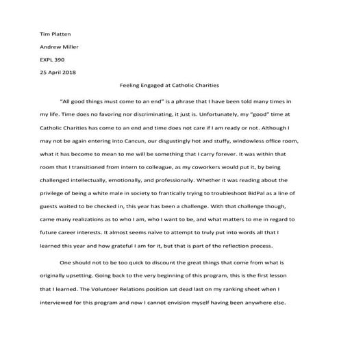 Final reflection paper sji platten