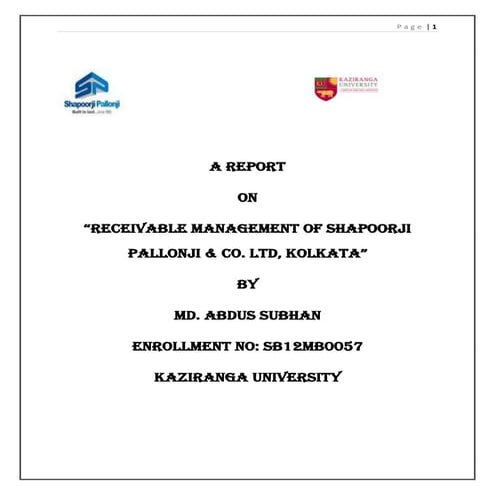 Final report