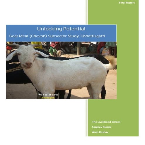 Goat Meat (Chevon) Subsector Study, Chhattisgarh