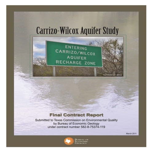 Final report carrizo wilcox study