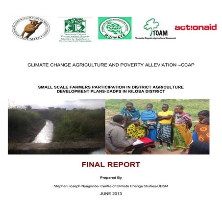 Final report dadp study  mjumita consultancy- stephen nyagonde 2013