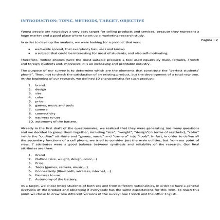 Final Report Example