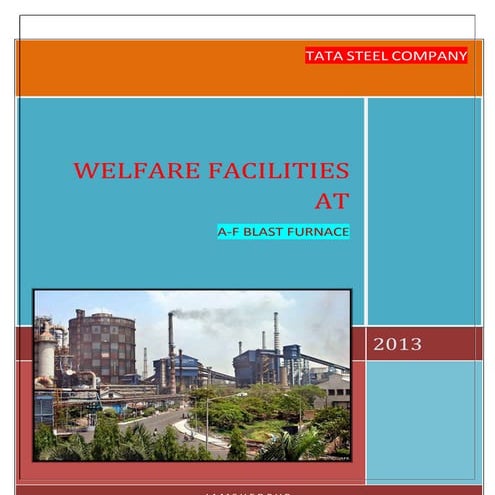 report on welfare of tata steel