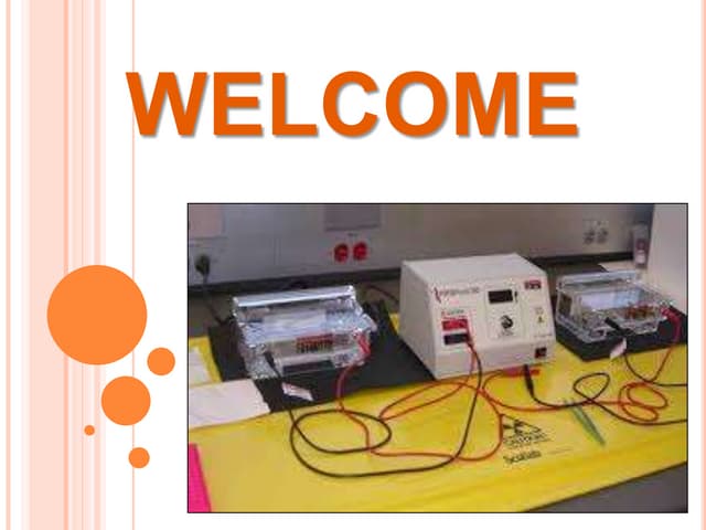 Techniques of electrophoresis