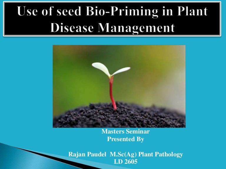 Seed Biopriming Biological method of seed treatment