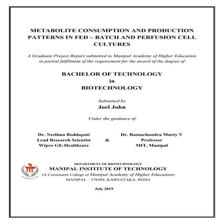 Undergraduate Thesis - Joel John