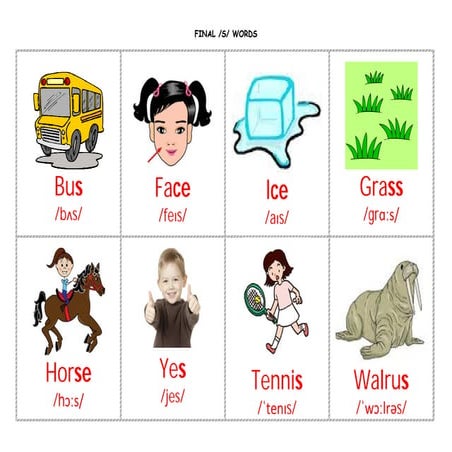 Initial z flashcards | PDF