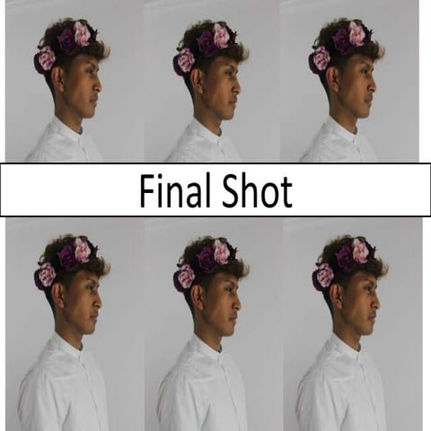 Final Shot/Mise-en-Scene