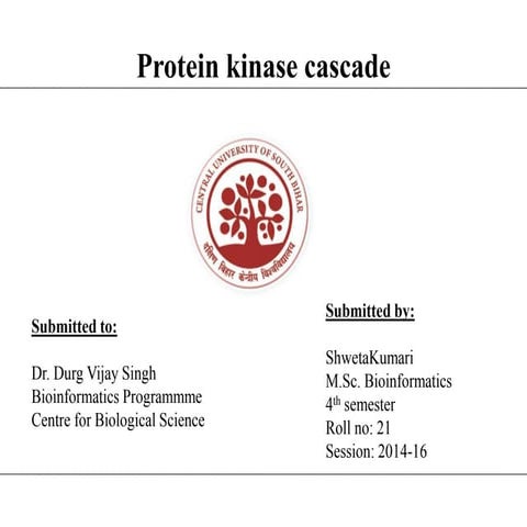 Final shweta protein kinase cascade