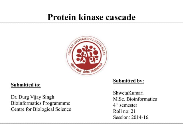 Final shweta protein kinase cascade