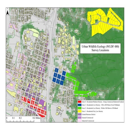 Advanced Survey Site Design - Jerry Dinzes