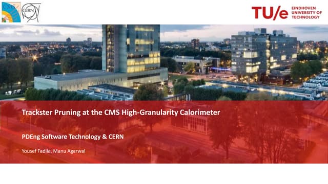 Trackster Pruning at the CMS High-Granularity Calorimeter