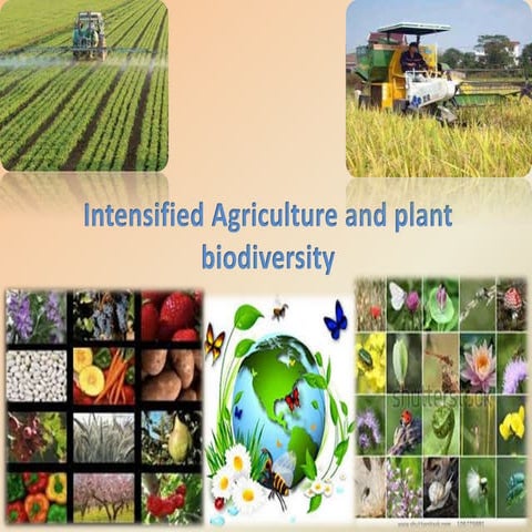 Intensified Agriculture and its Merits and Demerits
