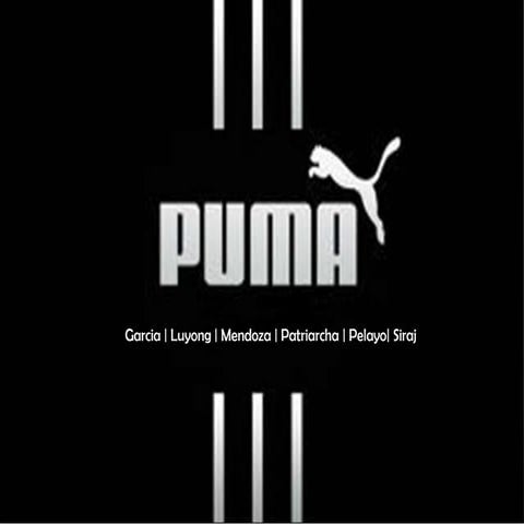 PUMA analysis