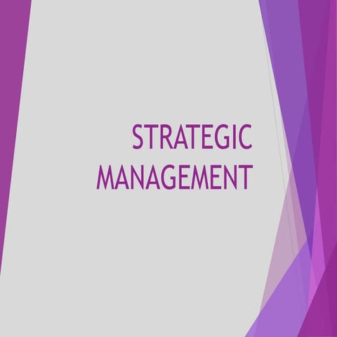 Strategic Management Project 