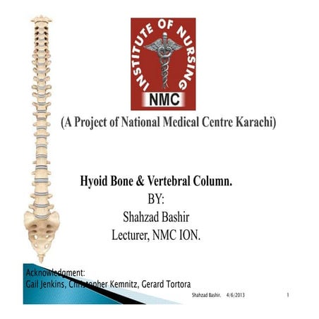 Final vertebral column 2.