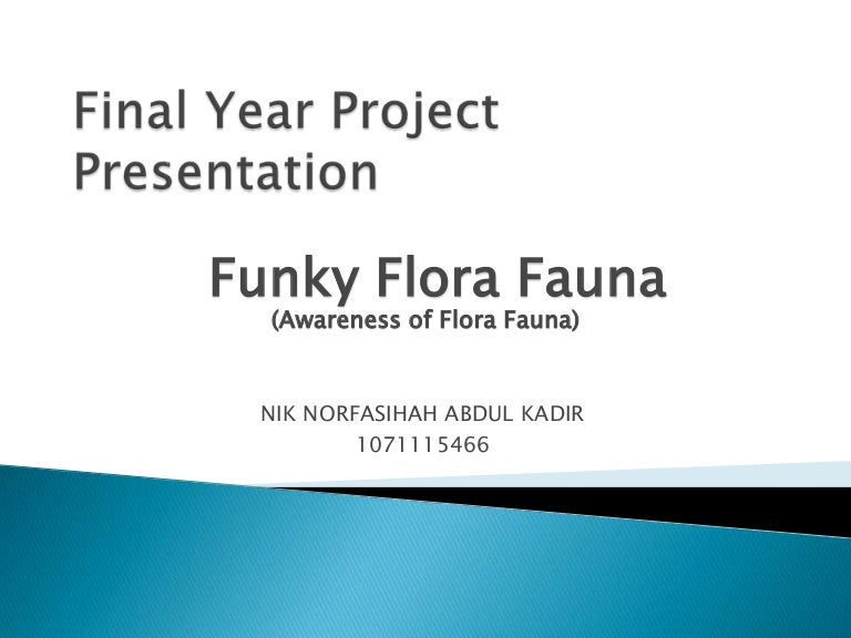 Final Year Project Presentation