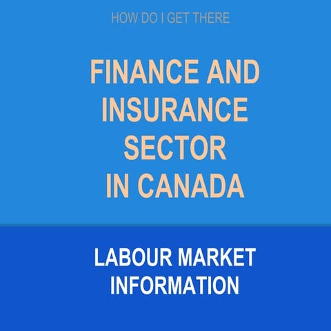 Finance and Insurance Sector  Overview