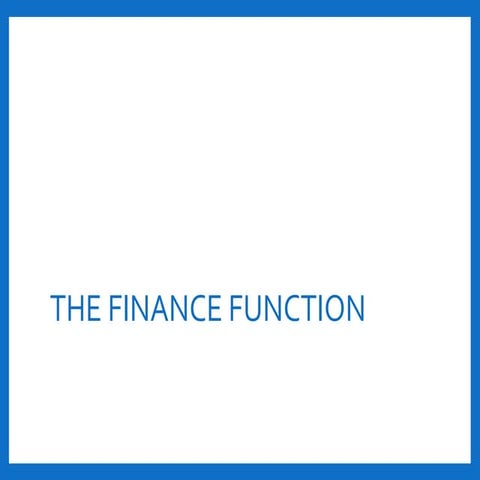 Finance Function.pdf