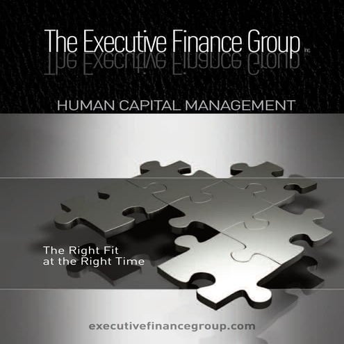 The Executive Finance Group