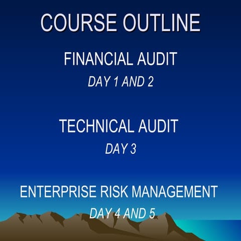 Financial audit