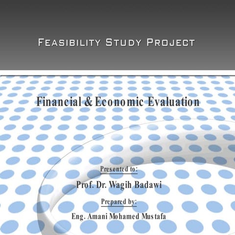Financial &amp; Economic Evaluation of projects