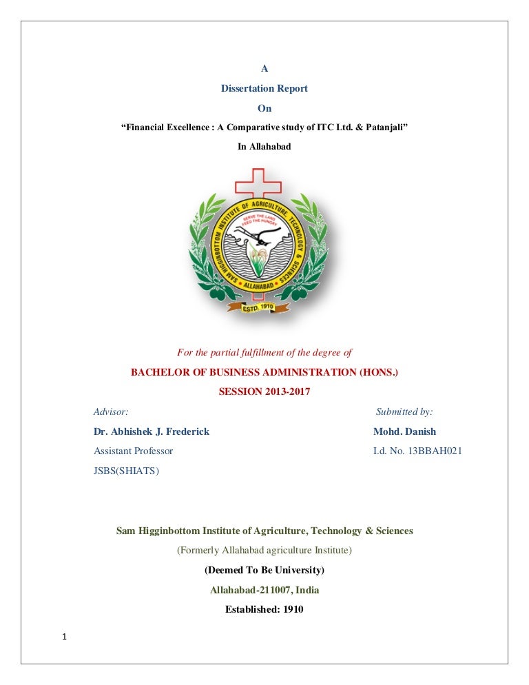 Dissertation report on finance