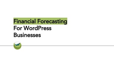 Financial Forecasting For WordPress Businesses