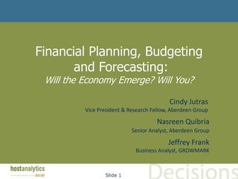 Financial Planning, Budgeting, and Forecasting (2010)