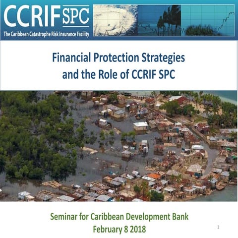 Instruments for Disaster Risk Financing | PPTX