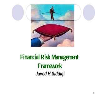 Financial Risk Management Framwork ...