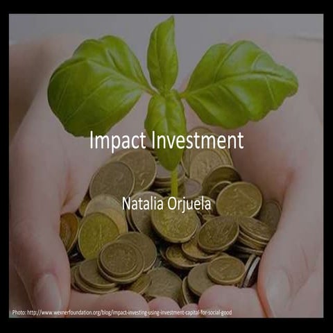 Financing for development - Impact Investment