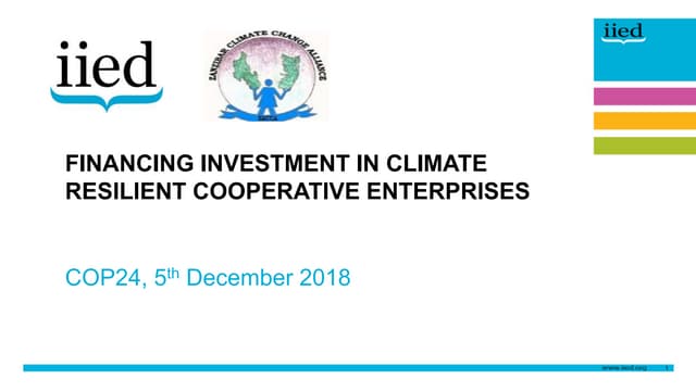 Financing investment in climate resilient enterprises