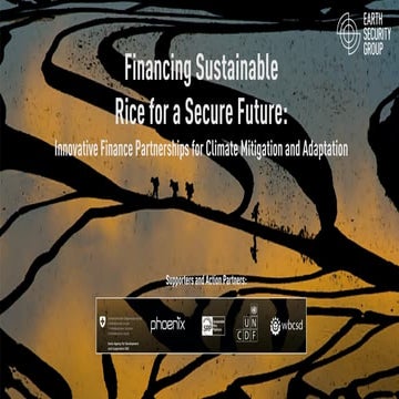 Financing sustainable rice for a secure future: Innovative finace ...