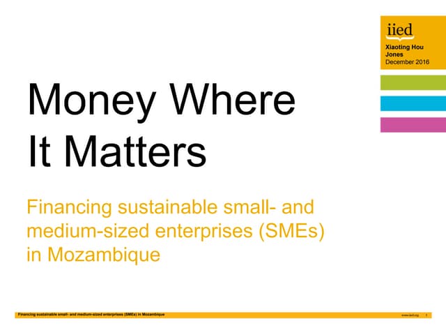 Financing sustainable small- and medium-sized enterprises (SMEs) in Mozambique