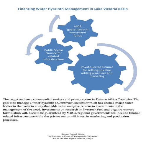Converting a nuisance into Value:Financing Sutainable Water Hyacinth Manageme...