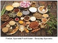 Find an Ayurveda Practitioner - Everyday Ayurveda