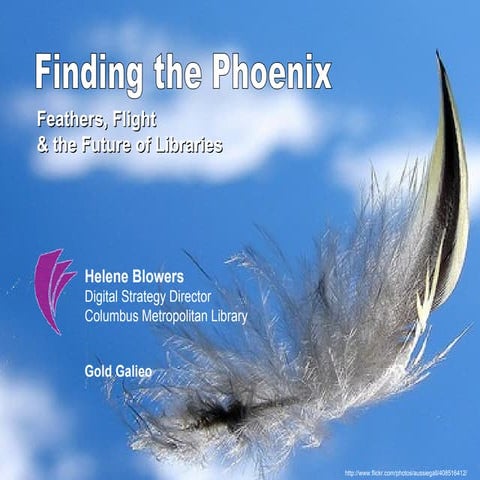 Finding the Phoenix