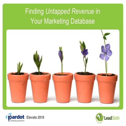 Finding Untapped Revenue in Your Database