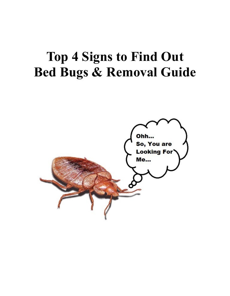 Find Out Bed Bugs & Removal Guide 2015