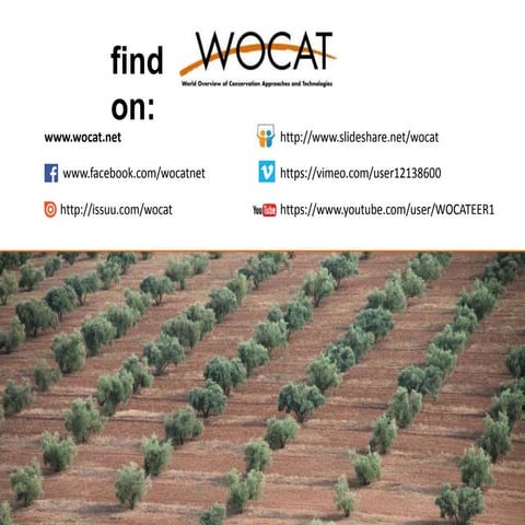 Find wocat on