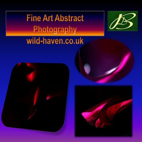 fine-art-nature-abstract-photography-pptx
